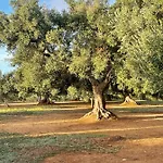 Villa Connie Serranova