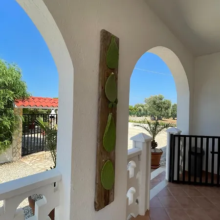 Connie فيلة Serranova