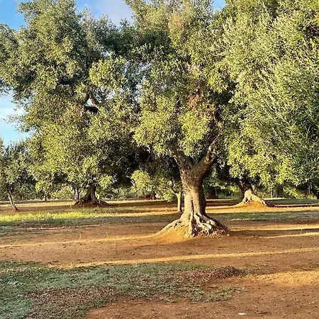 فيلة Connie Serranova