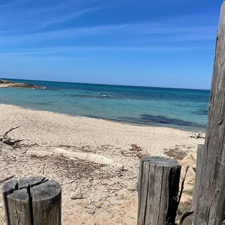 Connie Villa Serranova